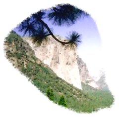 ElCapitan (YNP) © SHoe