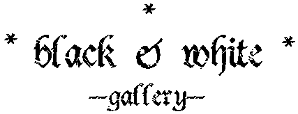 *BLACK AND WHITE GALLERY*